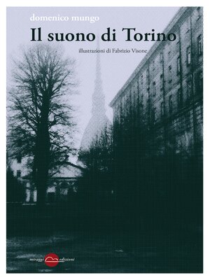 cover image of Il suono di Torino